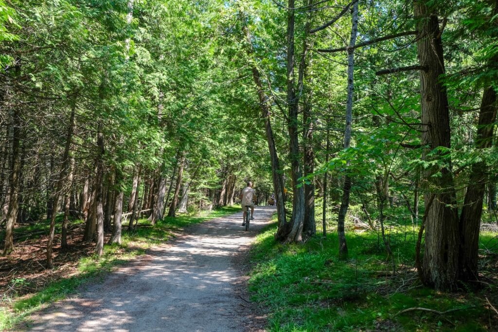 A man biking along the Mountain Bay State Trail, a bike path surrounded by trees in Wausau, Wisconsin.